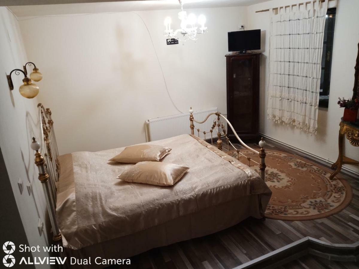 Casa Cu Farfurii 3* סינאיה